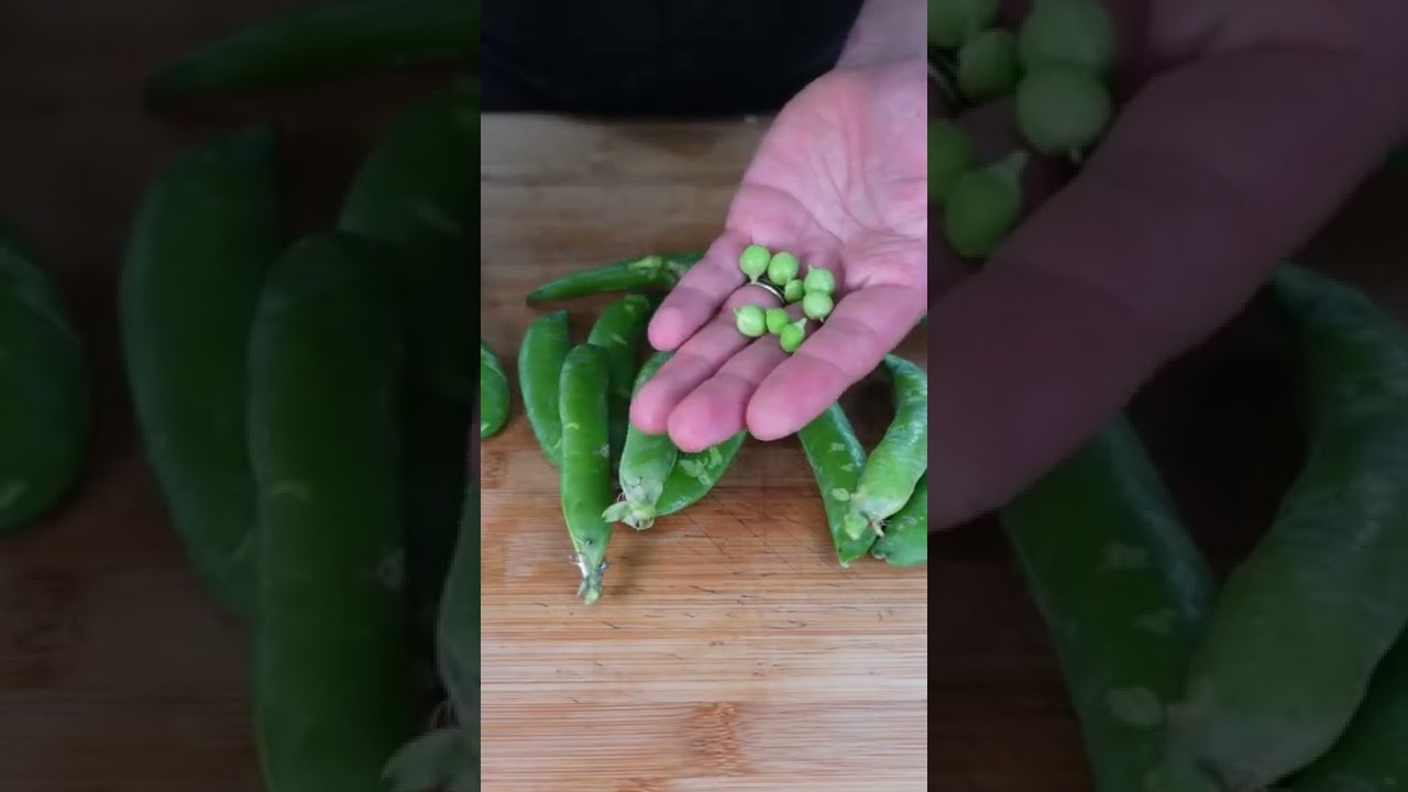 Italian Food Italian Food