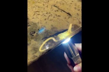 Italian furniture brand minotti, suspended dining table