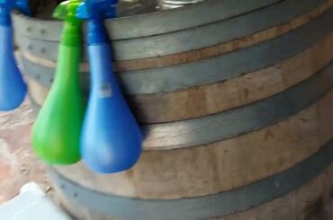 The Amphorae Winery with al fresco wine tastings & light snacks, plus vineyard tours & a wine shop.