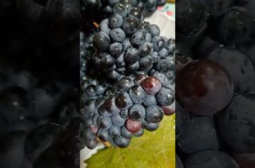 THIS TYPE OF GRAPES THEY MADE FOR WINE | #shorts