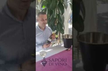 White wine Chardonnay /  prezentare vin italian / asociere / arome