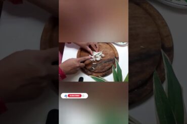 tomato sauce  for  pasta  Italian traditional  style