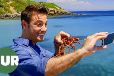 Gino Catches and Cooks Sardinian Seafood | Gino's Italian Escape E15 | Our Taste