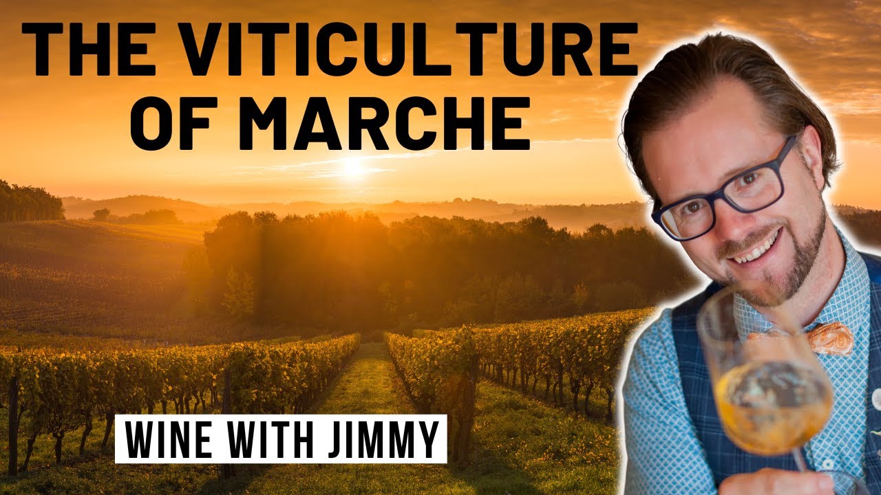 WSET Level 4 Diploma: The Climate and Grape Growing of Marche, Italy WSET Level 4 Diploma: The Climate and Grape Growing of Marche, Italy