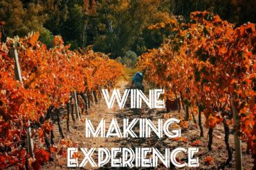 EXPERIENCE AUTHENTIC CALABRIA / wine making tour that will blow your mind #calabria #wine #italy