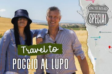 Travel to a winery in Tuscany, Italy (Poggio al Lupo, a magical place where many wolves lived)