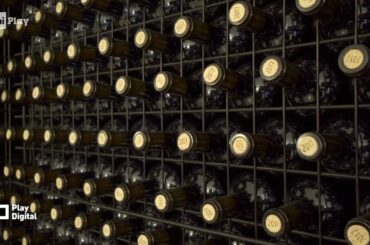 Italian Wine Crypto Bank. Prima banca del vino basata su blockchain e cryptovaluta - Play Digital