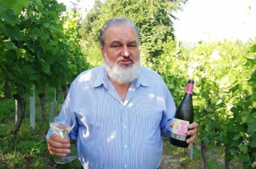 Langhe Arneis Wine by Matteo Ascheri | Wines From Italy