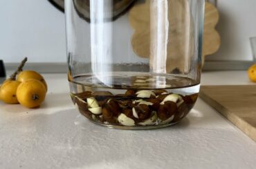 NESPOLINO Italian Liquor Homemade recipe