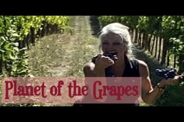 Good Days & Grape Days in Abruzzo Italy  #grape #wine #brambletye