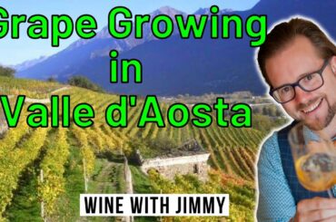 Everything you need to know about grape growing in Valle d'Aosta for WSET Level 4 Diploma