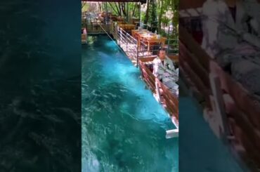 One of the most unique dining destinations in Turkey | beautiful places in the world #Shorts
