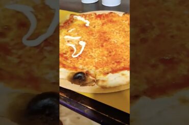 Plain Layer Chipola Italian Speciality #italy #shorts #ytshorts #italianfood #foodie
