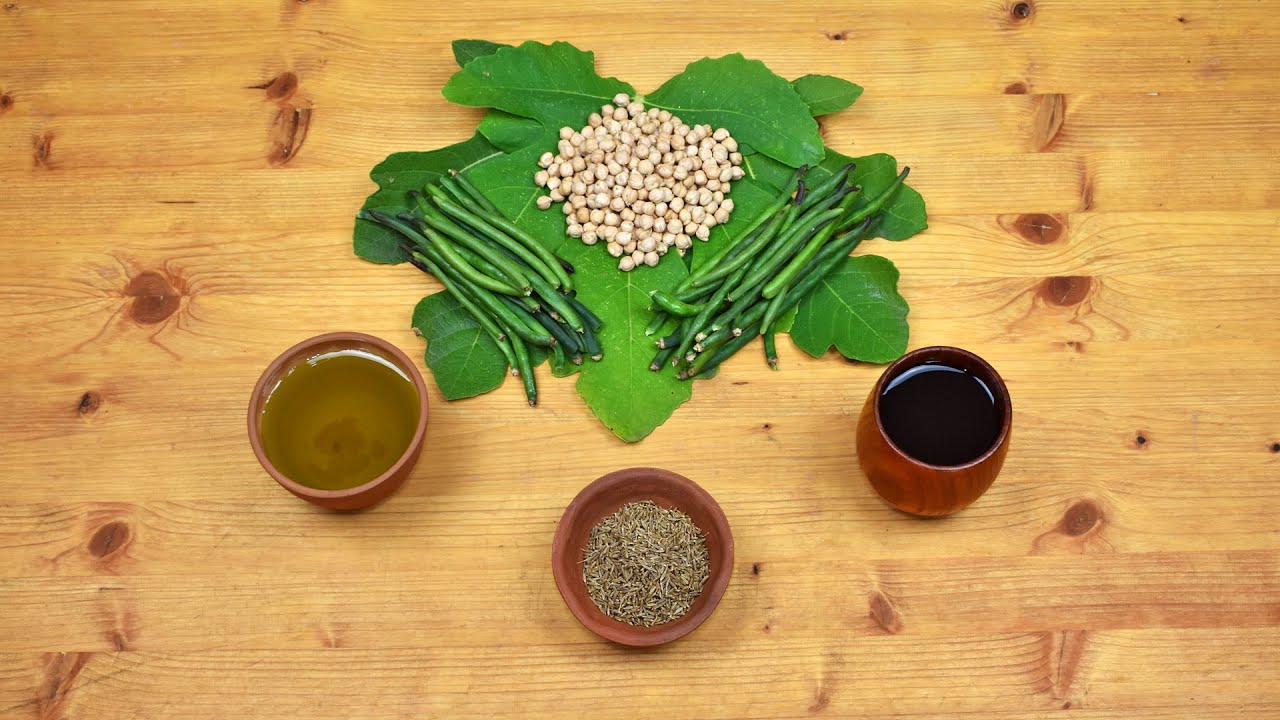 Ancient Roman Chickpeas and Green Beans Ancient Roman Chickpeas and Green Beans