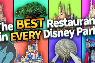 The BEST Restaurant in Every Disney Park
