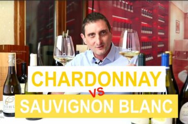 Chardonnay Vs Sauvignon Blanc: Comparing the 2 Most Popular Types of White Wine