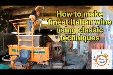 how to make finest Italian wine..here Blending grapes for wine.. #wine #italianwine #barberadiasti