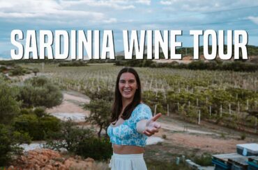 Tasting Wines in Sardinia | They're Delicious