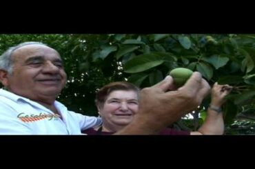 How to make Pesto Sauce - Casalinga Italian Cooking