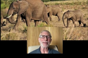 Wine Insider Contest Entry 2022