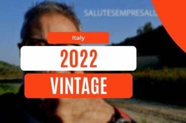 2022 Vintage | Tips #Shorts