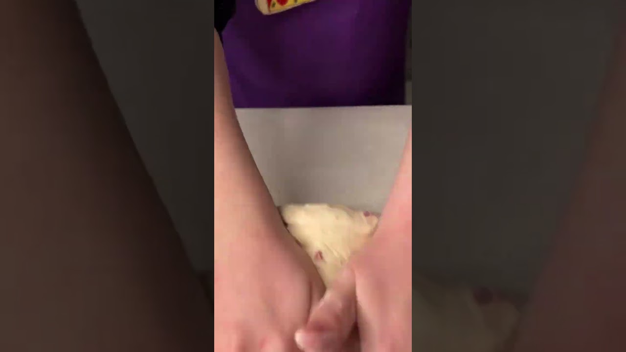 PIZZA CASERA DE SALAME! #shorts PIZZA CASERA DE SALAME! #shorts