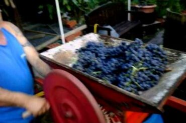 Homemade italian wine