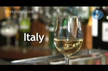 WSET 3 Minute Wine School - Italy, presented by Tim Atkin MW