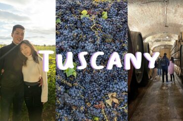 Affordable & Fun Wine Tour in Tuscany | Florence Italy