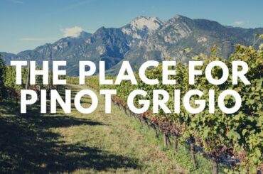 Learn About Pinot Grigio From One Of Italy's Top Producers - Wine Oh TV