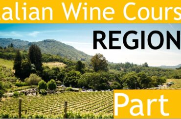 Italian Wine Course Part 3: Regions