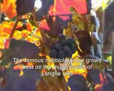 Red Wines of Italy Red Wines of Italy