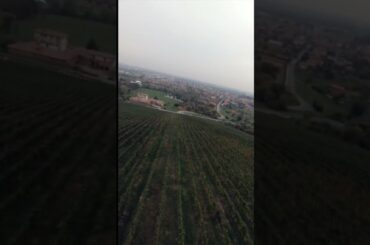 #reels #drone #dronefpv #dji #video #yuotubeshorts #italy#wine