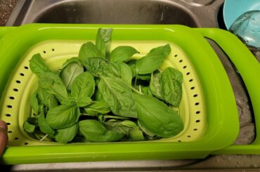 Lasagna. Made sauce, and pasta, from scratch. 3rd attempt.