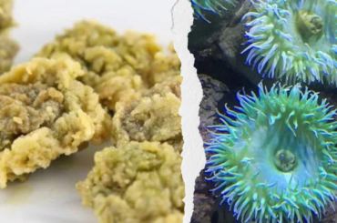 Orziadas is the Sardinian word for anemones, which are passed in flour and semolina and fried in abundant oil until golden. It’s a favorite local appetizer, though not very easy to find.