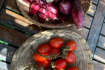 If god made a tomato & an onion it would be the cippola di tropea (an onion that’s as sweet as an apple) & piennolo di vesuvio (a tomato that’s lovely as is). Made into a salad, served with pan fried chicory; pecorino & cacciocavallo cheeses; and an assortment of pork salame.