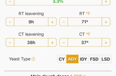If I’m at room temp for 8h followed by 36h in the fridge, should I really add such a small amount of ADY (.6g)?