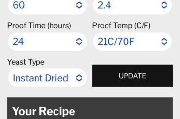 Dough flattens and doesn’t hold its shape during price. Any suggestions? 00 flour. Fleischmans instant dry yeast.