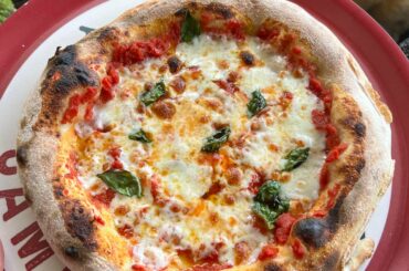 24 hour poolish - home oven using broiler and pizza steel.