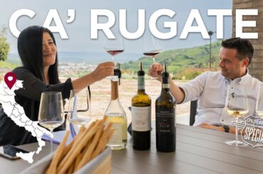 Italian wine travel - Soave Classico region, near Verona (Ca' Rugate Winery, On The Road interview)