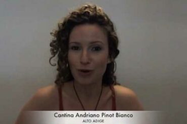 Plonk Wine Merchants: Best Regions in Italy for Great Cheap Wine