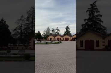 New 2022 Collalto Italy Prosecco and Wine DOCG