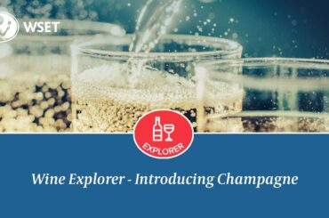 Wine Explorer - Introducing Champagne