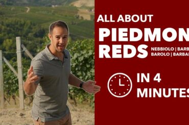 Piedmont Grapes - All About Nebbiolo, Barbera, Barolo, & Barbaresco from Piedmont, Italy