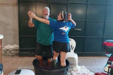 Stomping grapes to make wine on a farm in Sicily. American expats in Sicily.