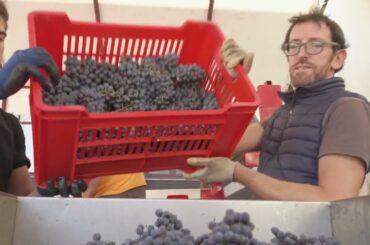 Il Chiosso, Piedmont, Italy