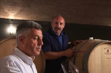 Campagnola Winery in Valpolicella Veneto | Italian Wine Map | Wines From Italy