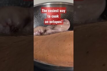 the easiest way to cook an octopus in Italy!
