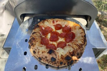 Beagle or pizza 🤣 puffy crust today.