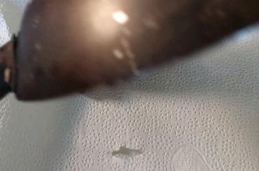 Risotto with porcini mushrooms, speck and white truffle oil. No pasta for today